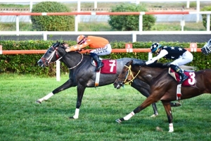 Nurullah Tolon Koşusu'nda birinciliğe Secret Image uzandı