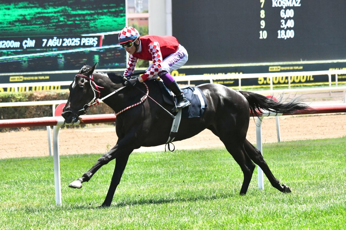 Bu yılki ilk şartlı 1 koşumuzu ALPHECCA ile kazandık.