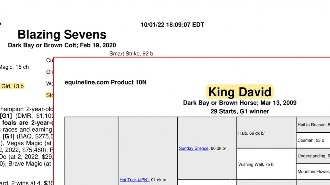 Aygırımız KING DAVID&#039;in kız kardeşinin erkek tayı Grup 1 Champane Stakes koşusu kazandı