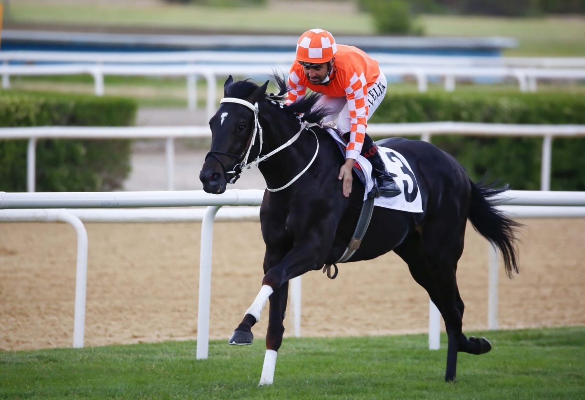 Triple Crown'ın kaçırmış olsak da BURGAS bizleri gururlandırmaya devam ediyor.
