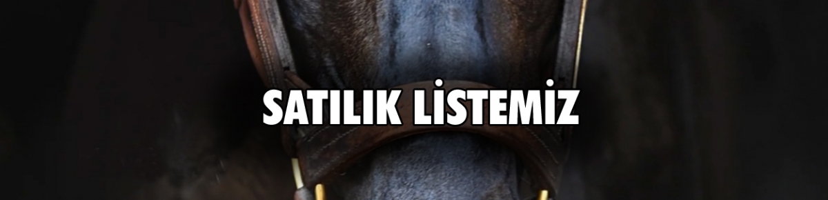 SATILIK KISRAKLARIMIZ (10/2024)