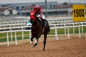 İkinci yarışında g&ouml;sterişli bir şekilde maiden'e veda etti.
